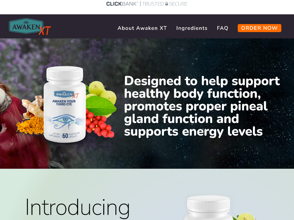 AWAKEN XT REVIEW : I FOUND JOY IN USING IT