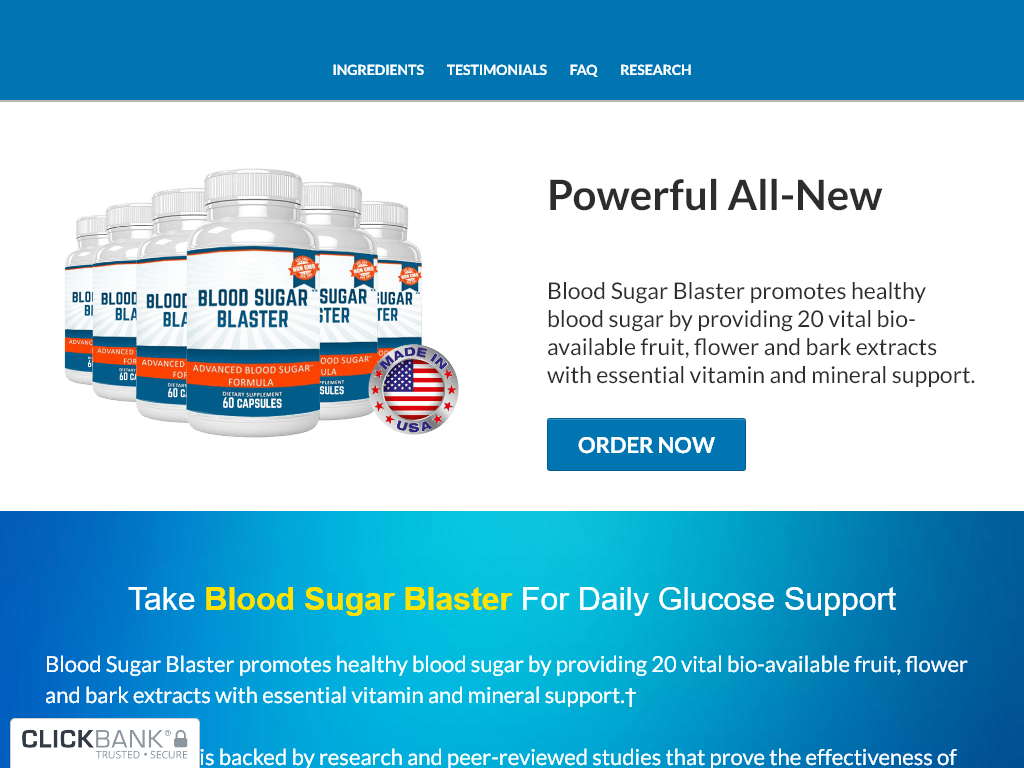 BLOOD SUGAR BLASTER REVIEW | THE MISTAKE I MADE FOR 3 MONTHS