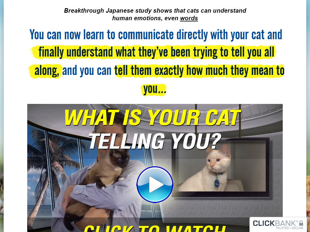 CAT LANGUAGE BIBLE REVIEW | I ALMOST REFUNDED ON DAY 29