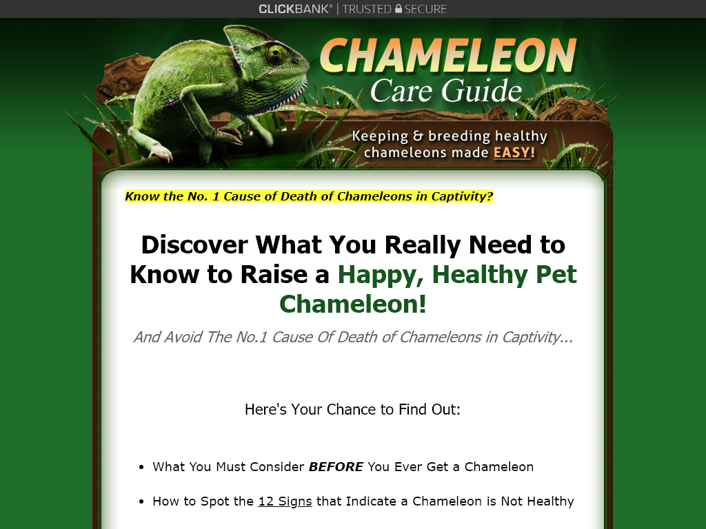 CHAMELEON CARE GUIDE REVIEW – STOP! WATCH OUT FOR THIS