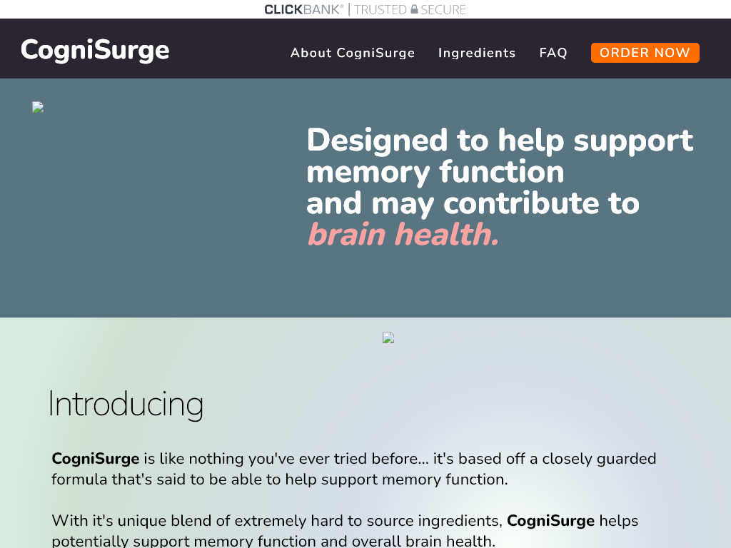 COGNISURGE REVIEW | THE FEATURE THAT SAVED MY WEEKEND