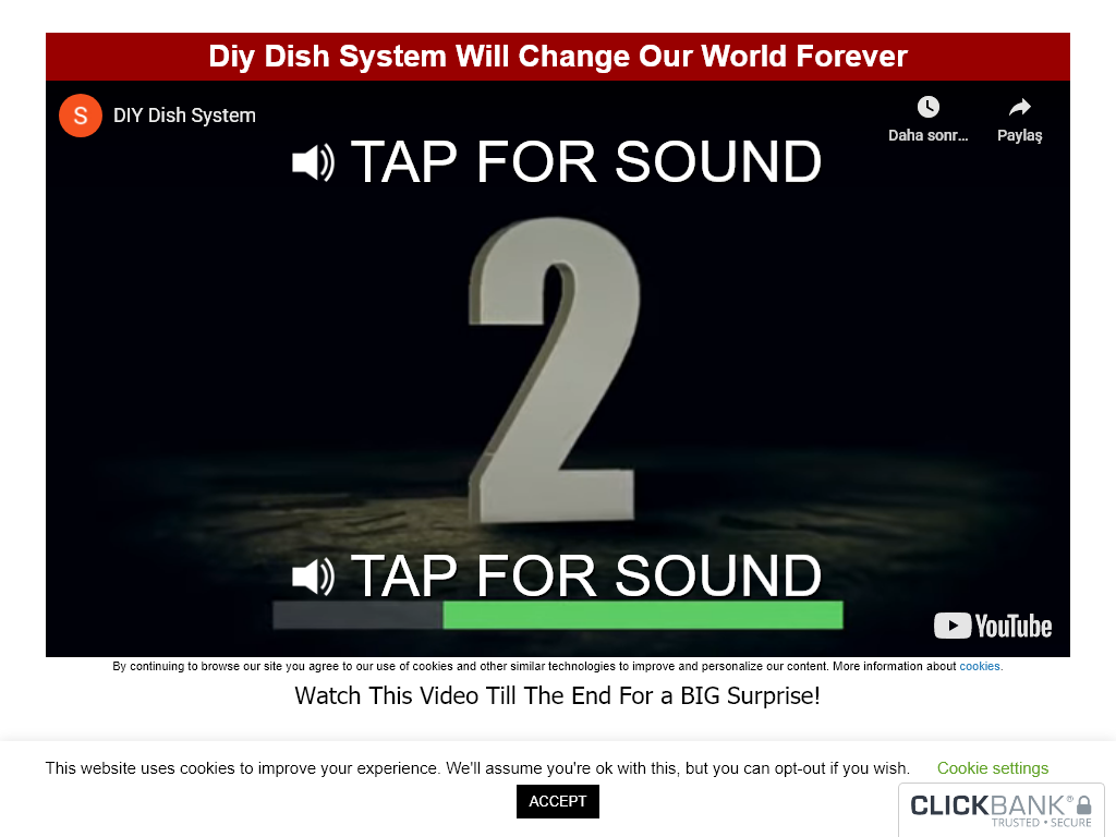 DIY DISH SYSTEM REVIEW | MY 60 DAY USAGE REPORT