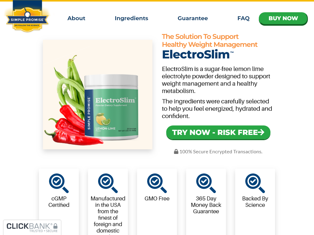 ELECTROSLIM REVIEW – MY 100 DAY CHALLENGE STARTS NOW