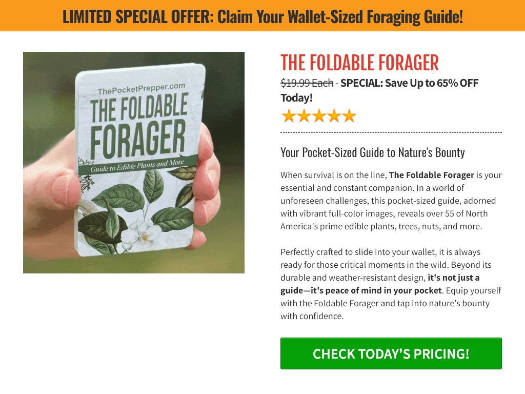 THE FOLDABLE FORAGER REVIEW – IS IT WORTH THE HYPE?