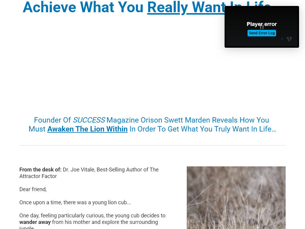 HOW TO GET WHAT YOU WANT REVIEW : I WAS SKEPTICAL FOR 2 WEEKS