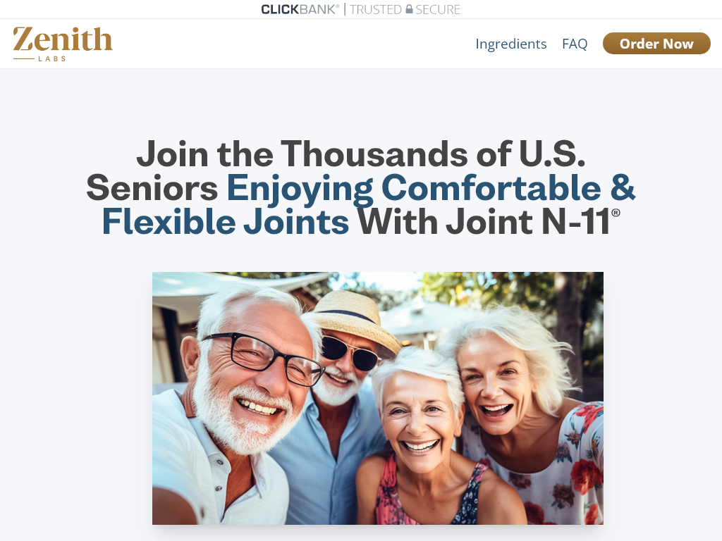 JOINT N-11 REVIEW : WHAT I LEARNED IN 24 HOURS