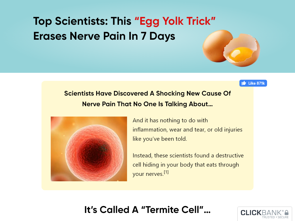 NERVE ARMOR REVIEW : THE 24 HOUR TURNING POINT