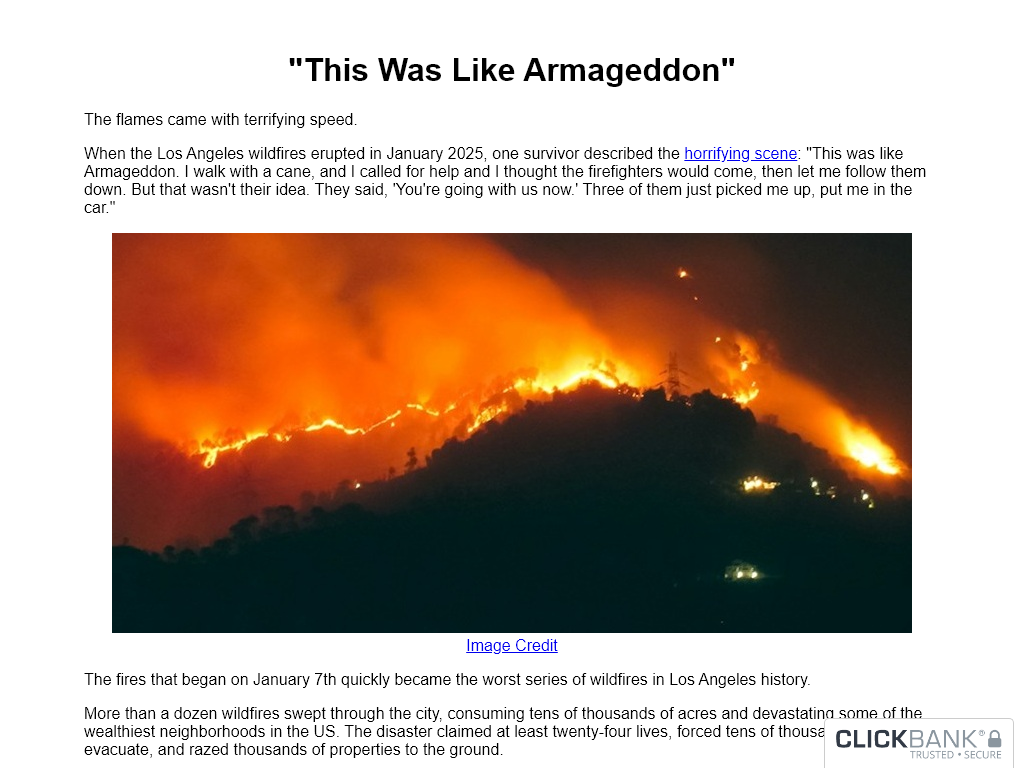 5 MINUTE SURVIVAL BLUEPRINT REVIEW : THE CLARITY I NEEDED