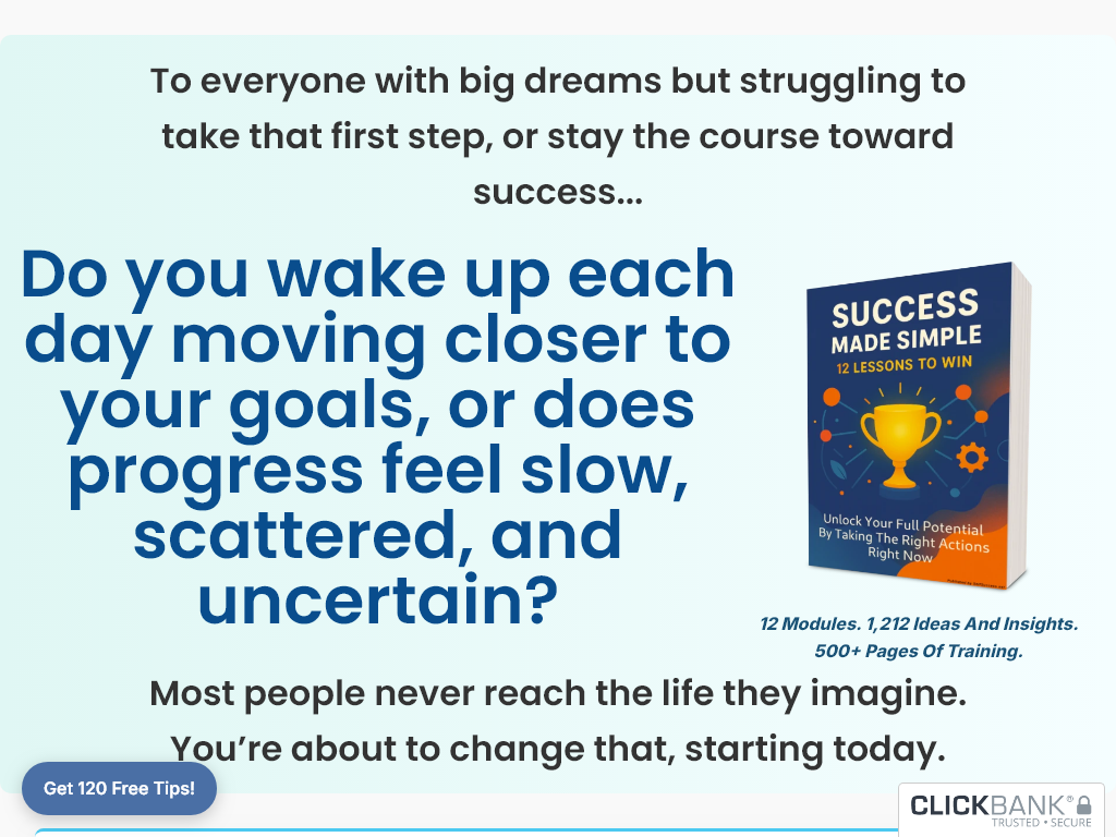 SUCCESS MADE SIMPLE REVIEW : WHAT I EXPERIENCED DAILY!