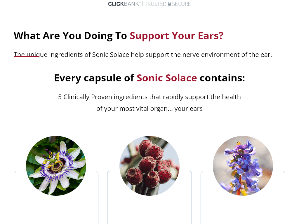 SONIC SOLACE REVIEW – HOW IT FIT INTO MY LIFE