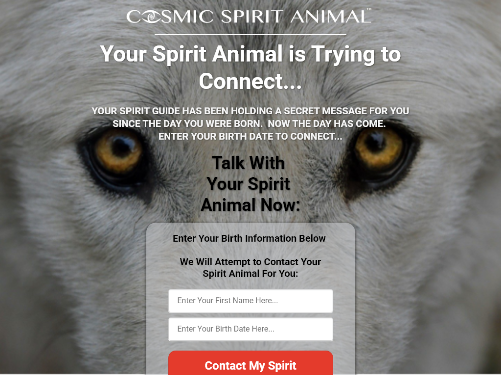 COSMIC SPIRIT ANIMAL REVIEW : WHAT ACTUALLY HAPPENED?